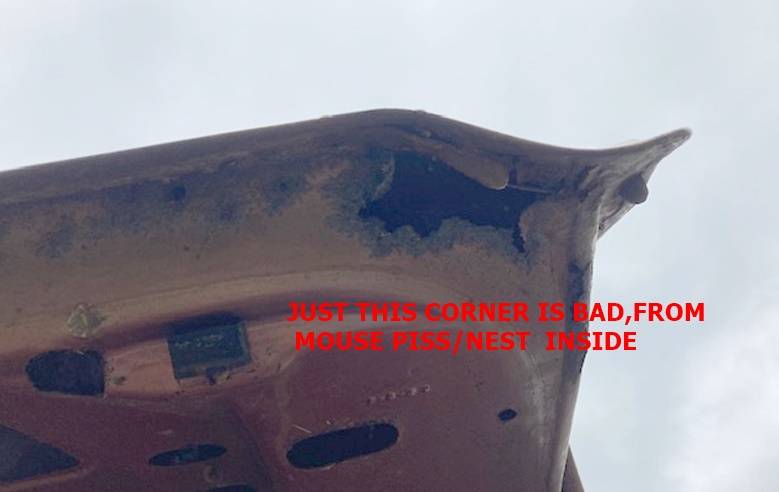 DART, 67,APR. 23 (3).jpg