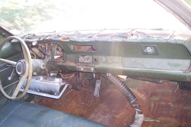 Dash (645 x 430).jpg