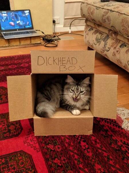 DICKHEAD BOX.jpg