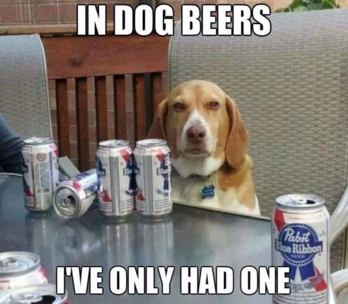 Dog Beers.jpg