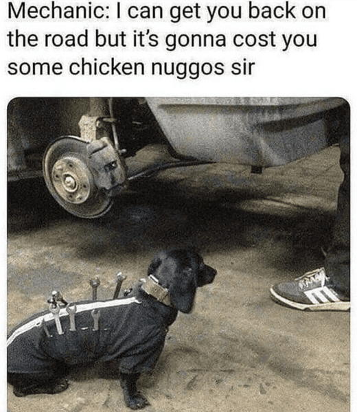 dog-mechanic-i-can-get-you-back-on-the-road-but-its-gonna-cost-you-some-chicken-nuggos-sir.png