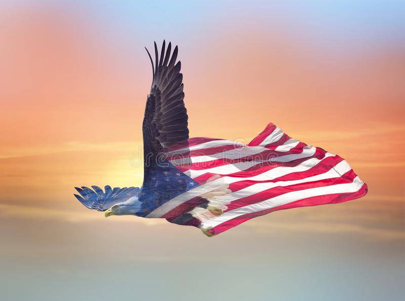 double-exposure-effect-north-american-bald-eagle-flag-sunset-background-153606359.jpg
