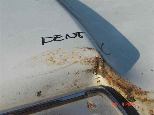 DSC00318 (Small).JPG