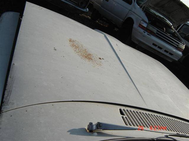 DSC00323 (Small).JPG