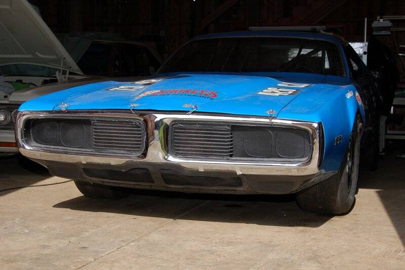 DSC_0801 (Large).JPG