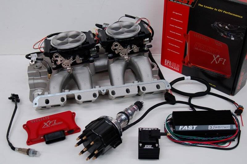 DSC_0854 (Large).JPG