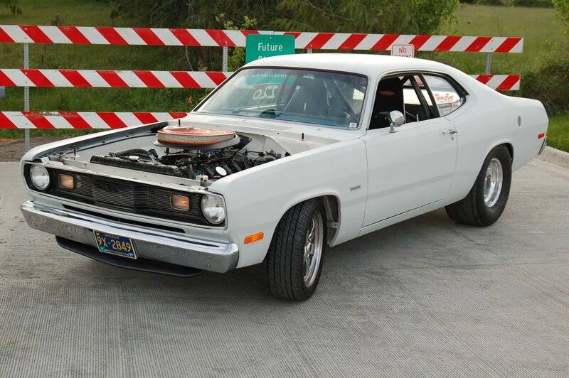 DSC_4129 (Large).JPG