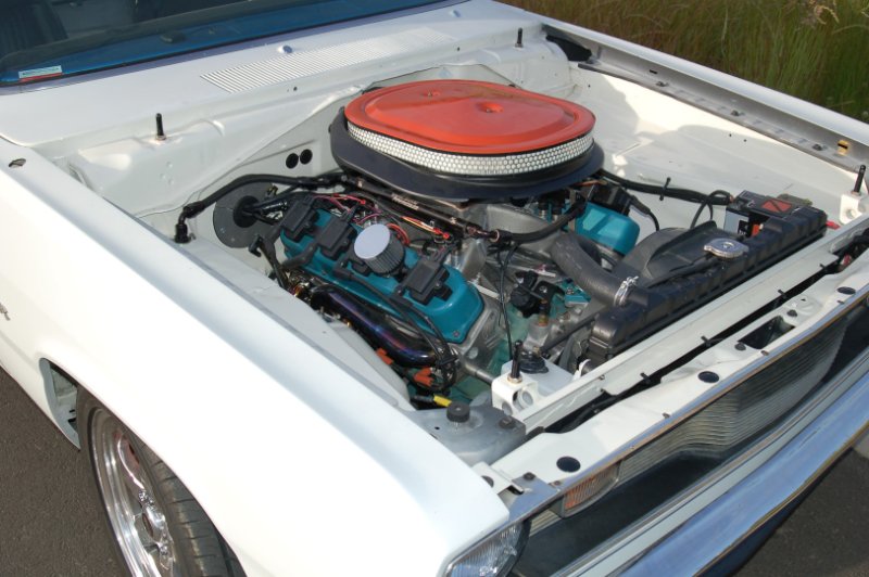 DSC_4624 (Large).JPG