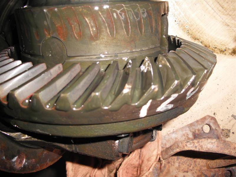 DSCF0458 (Medium).JPG