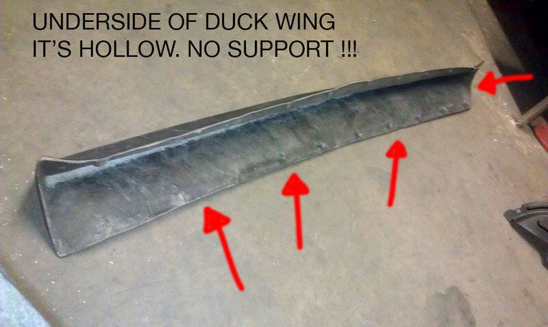 Duster Duck Wing 06.jpg