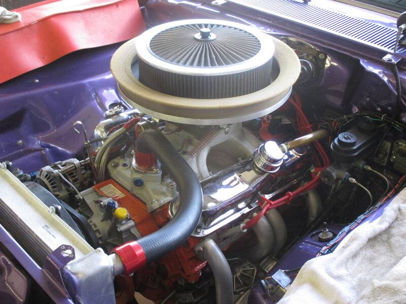 Duster purple 13.JPG