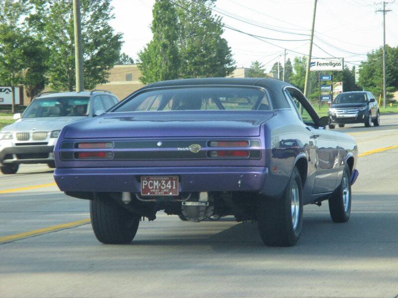 Duster purple.JPG