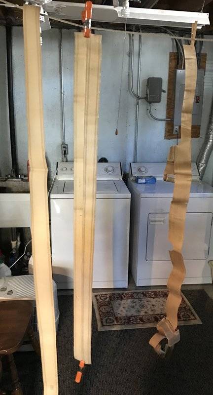 duster tail stripe 2.jpg