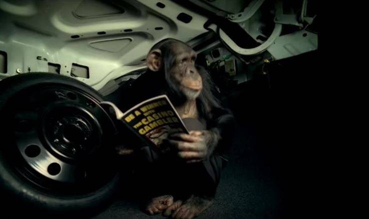 ENT-trunk+monkey+chimp+commercial-NC-JO.jpg