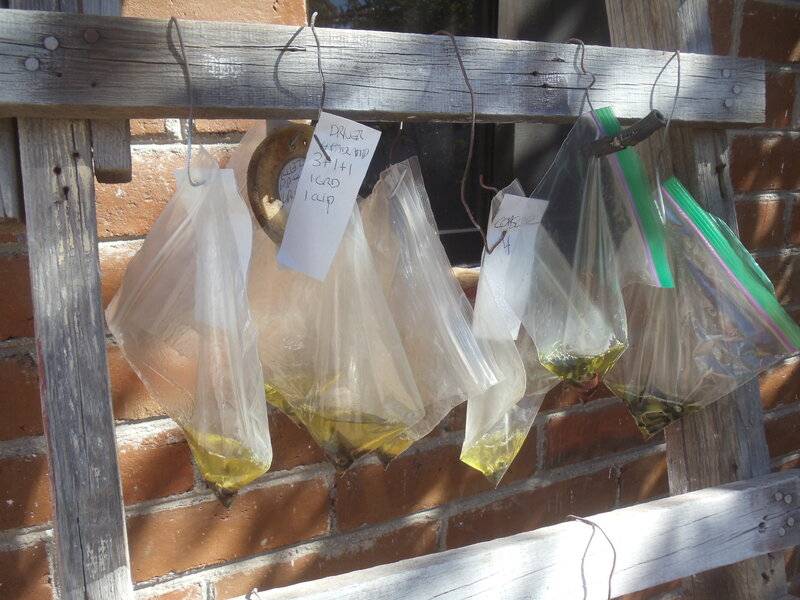 evaporust bagged.JPG