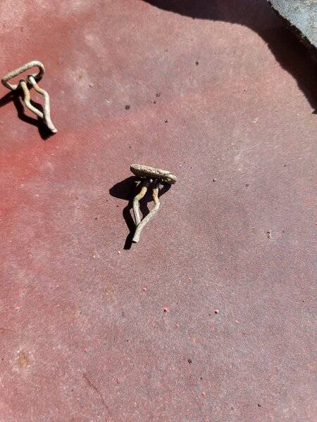 F Fender Details (4).jpeg