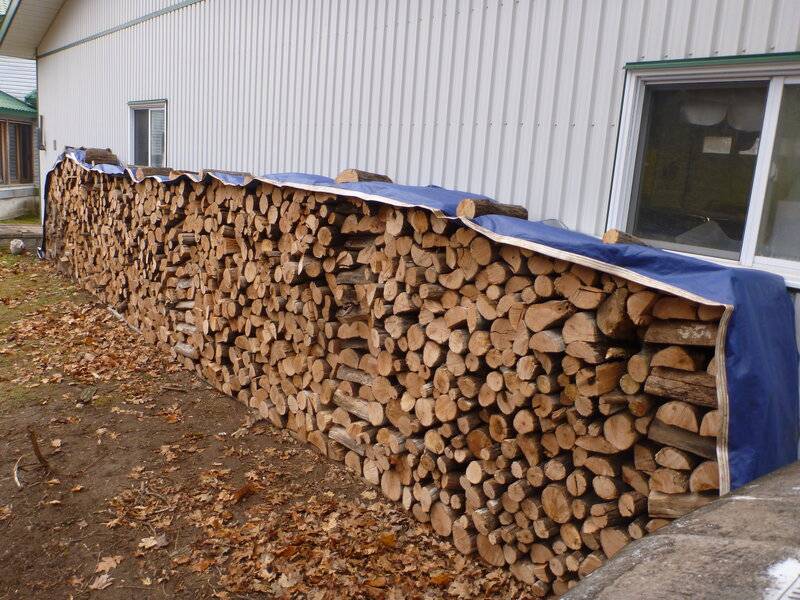 firewood2015 054.JPG