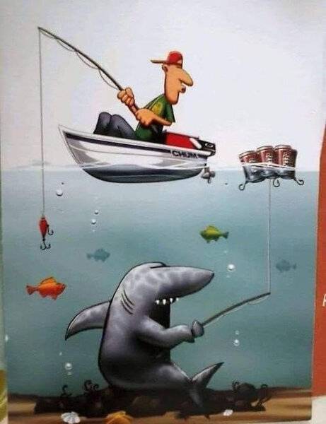 fishing for sharks.jpg