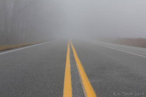 foggy-road-road-to-nowhere-reduced-w-sig-jpg.jpg