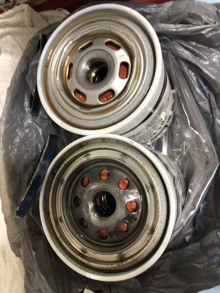 ford oil filters.JPG