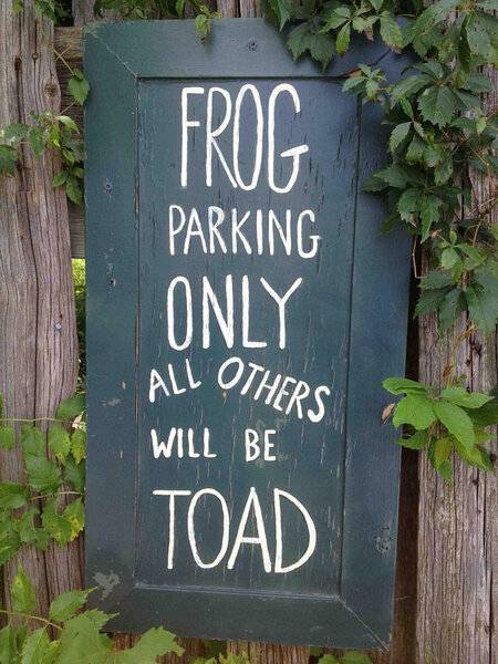 Frog park.jpg