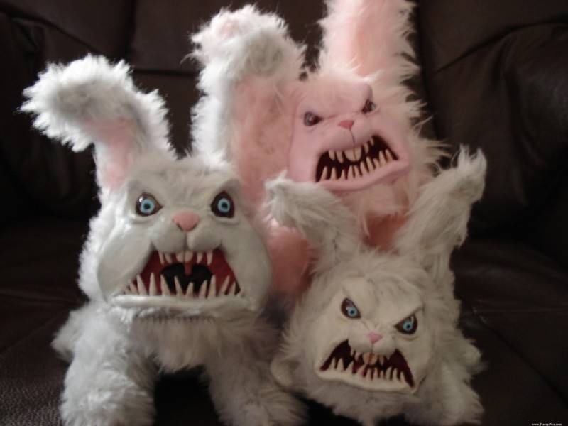 Funny-Cute-Rabbits-Funny-Cute-Rabbit-Picture-061-FunnyPica.com_-1024x768.jpg