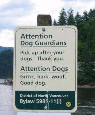 funny_sign_dogs.jpg