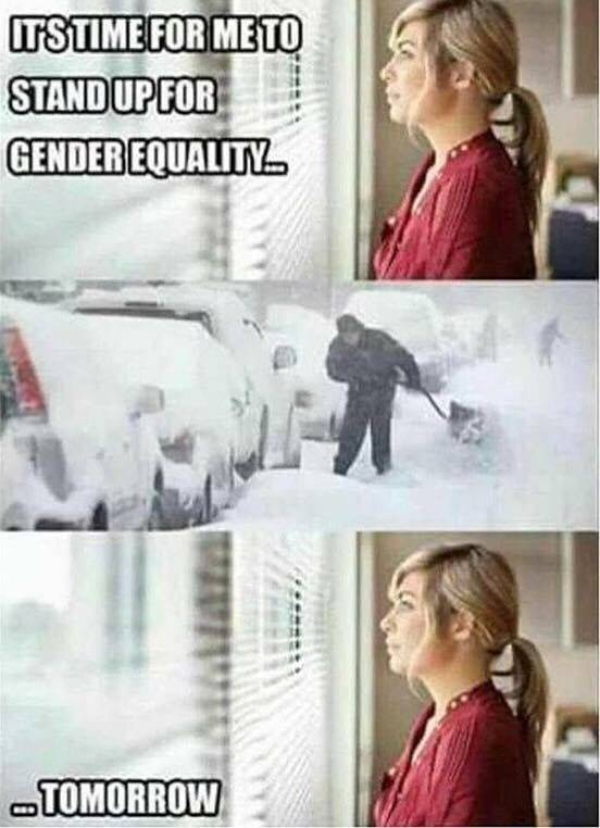Gender equality.jpg