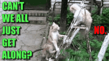 get-along-cant-we-get-along.gif