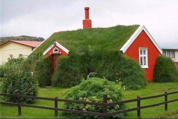Grass House.jpg