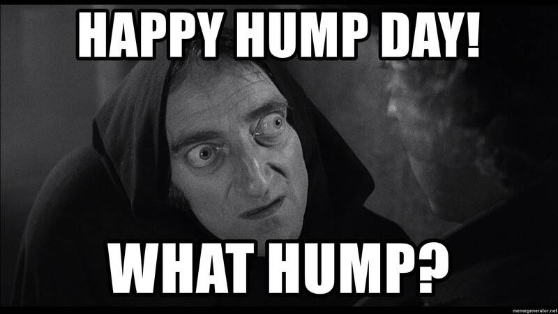 Happy-Hump-Day-Memes-Work-What-HUmp.jpg
