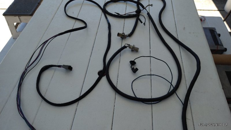 HARNESS 3.jpg