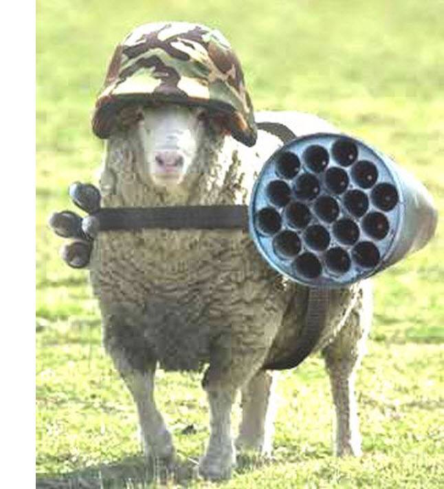 Heavy Duty Sheep.jpg