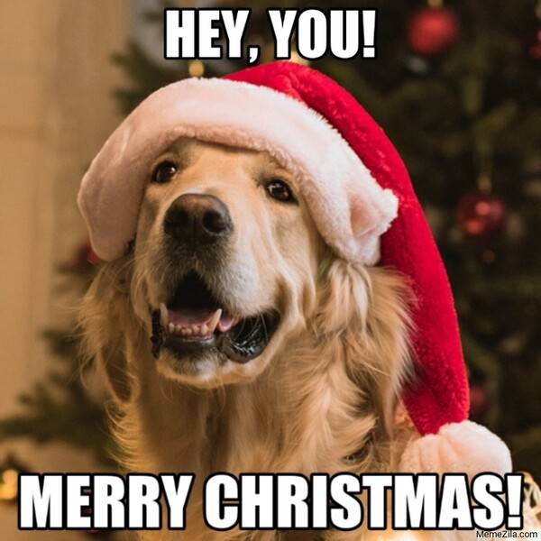 Hey-you-Merry-christmas-meme-8491.jpg