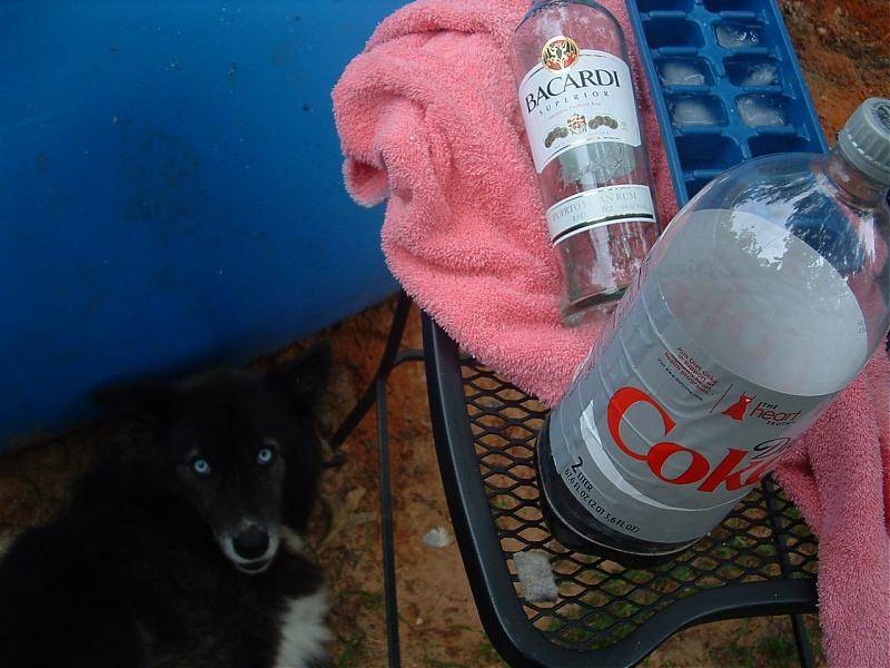 Home alone again 044.jpg