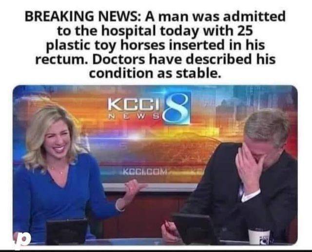 Horses rectum.jpg