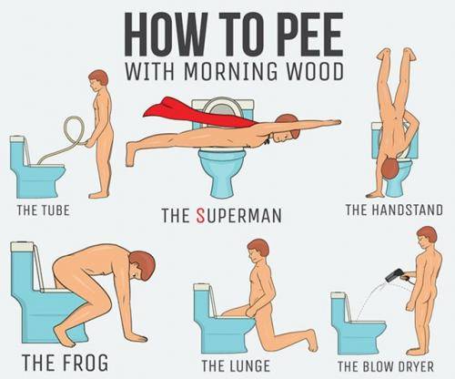 how-to-pee-with-morning-wood-11886.jpg