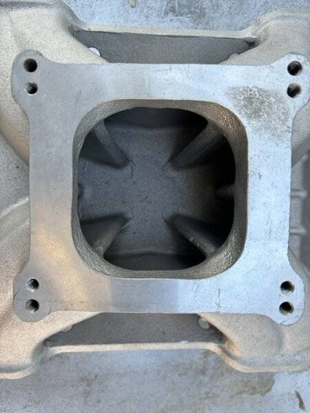 IMG_1425 Medium.jpeg