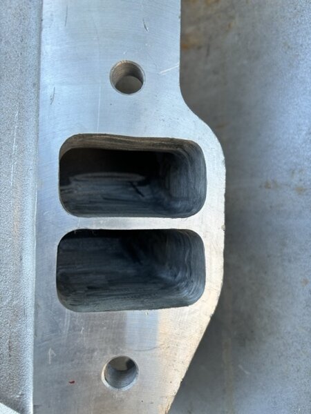 IMG_1430 Medium.jpeg