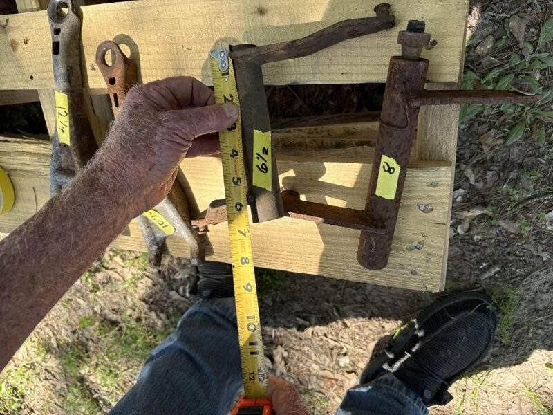 IMG_2859 (Medium).jpeg