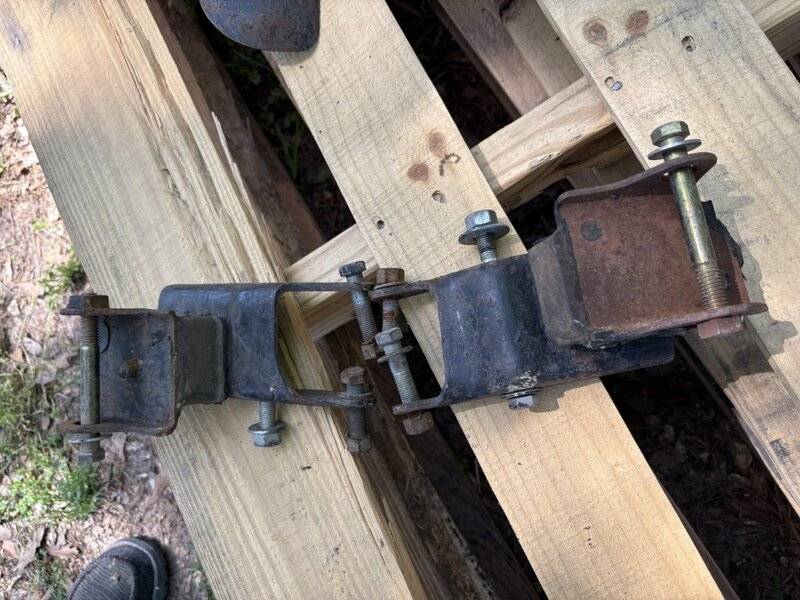 IMG_2865 (Medium).jpeg