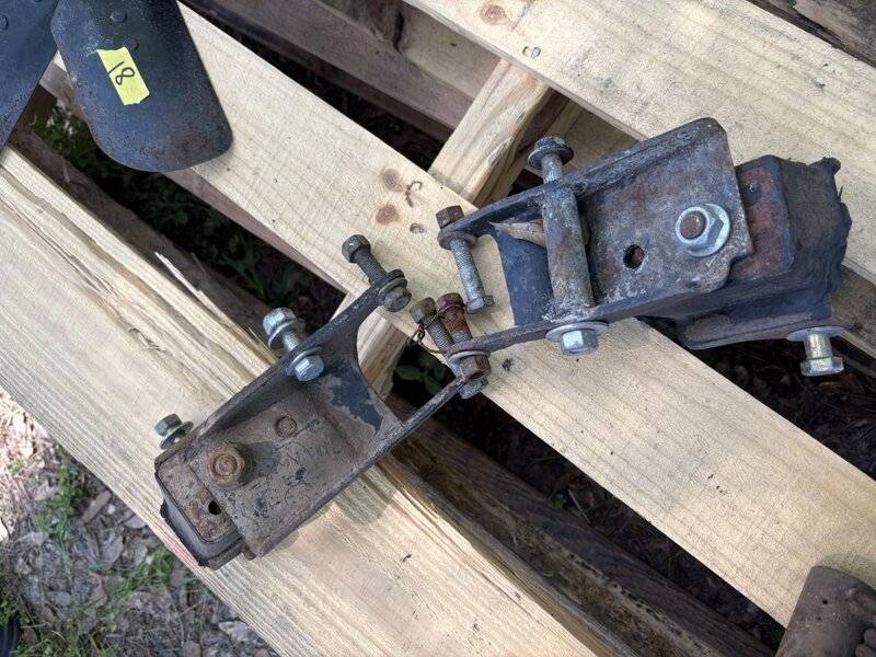 IMG_2867 (Medium).jpeg