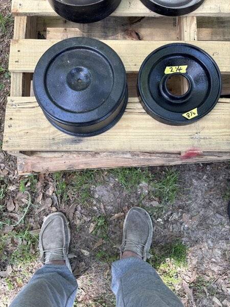 IMG_2869 (Medium).jpeg