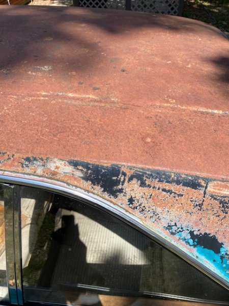 IMG_3749.jpeg