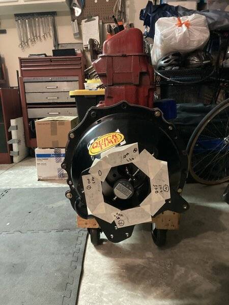 IMG_5431.jpeg IMG_5431.jpeg