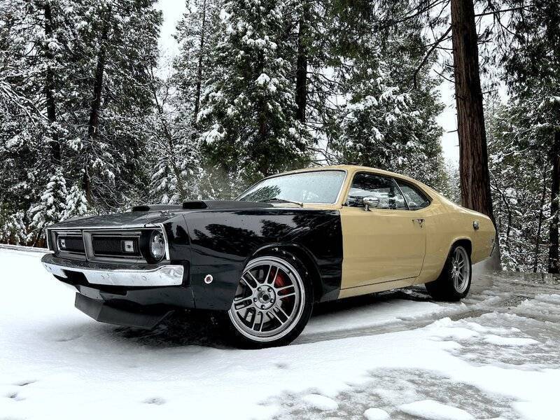 img_7666-jpeg.1716418961