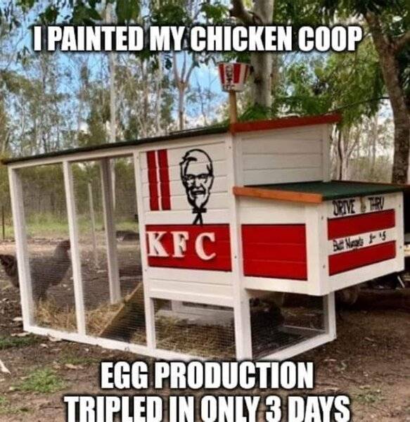 KFC COUP.jpg