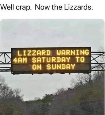 lizzard warning.jpg