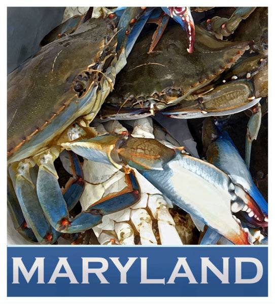 Maryland 1.jpg