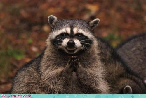 Messages Image(1833231820).png